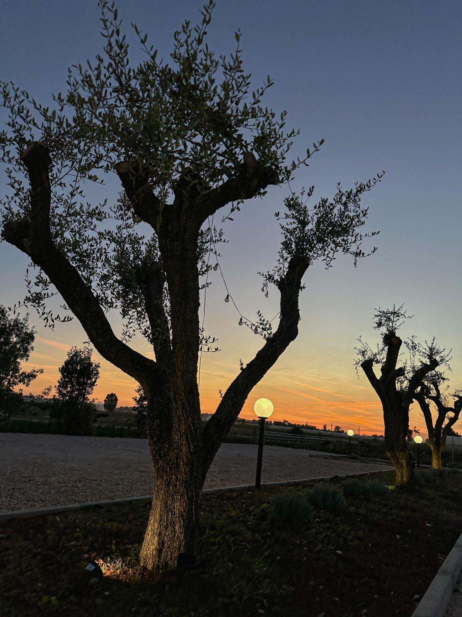 Apartment Tenuta57 - Nuovissimo - Immerso Nella Tranquillita - Pochi Minuti Dal Mare Di - Private Parking - Free Wi-fi